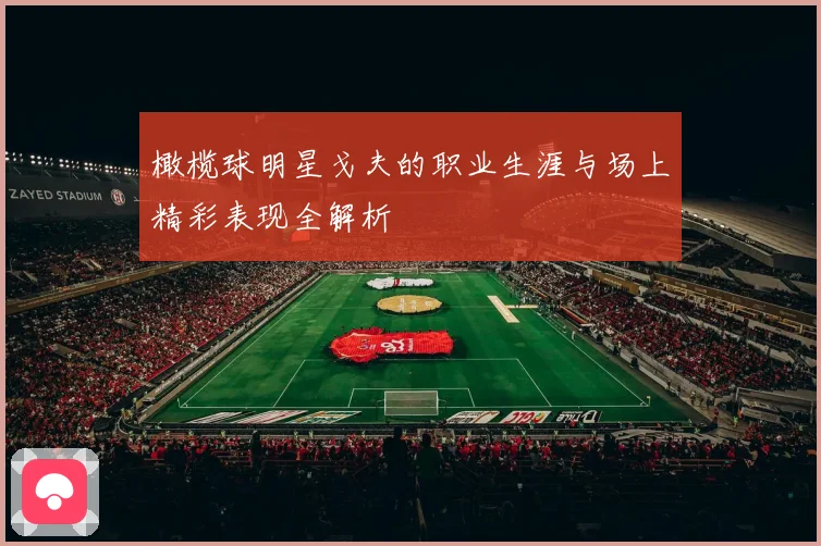 橄榄球明星戈夫的职业生涯与场上精彩表现全解析