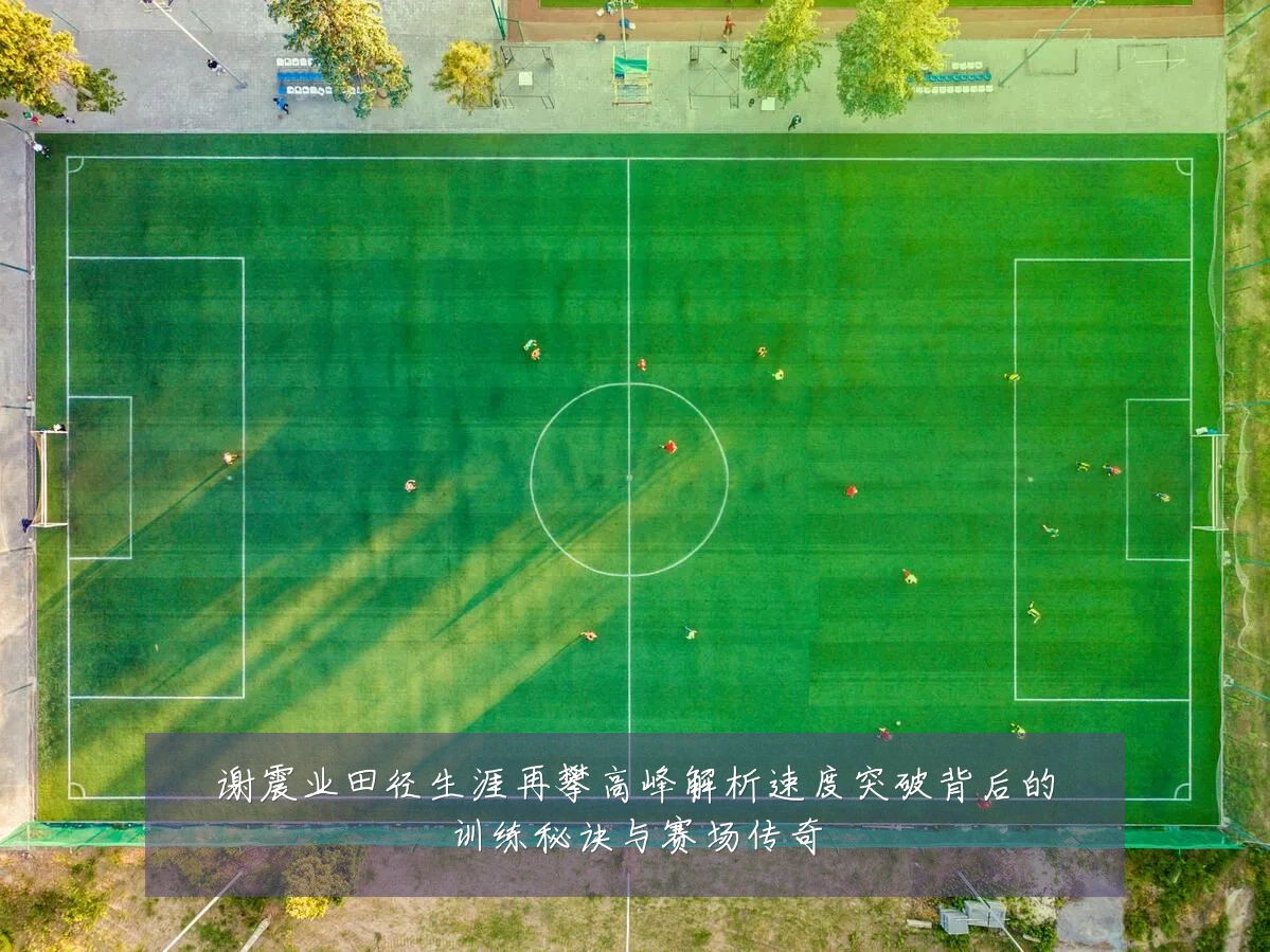 谢震业田径生涯再攀高峰解析速度突破背后的训练秘诀与赛场传奇