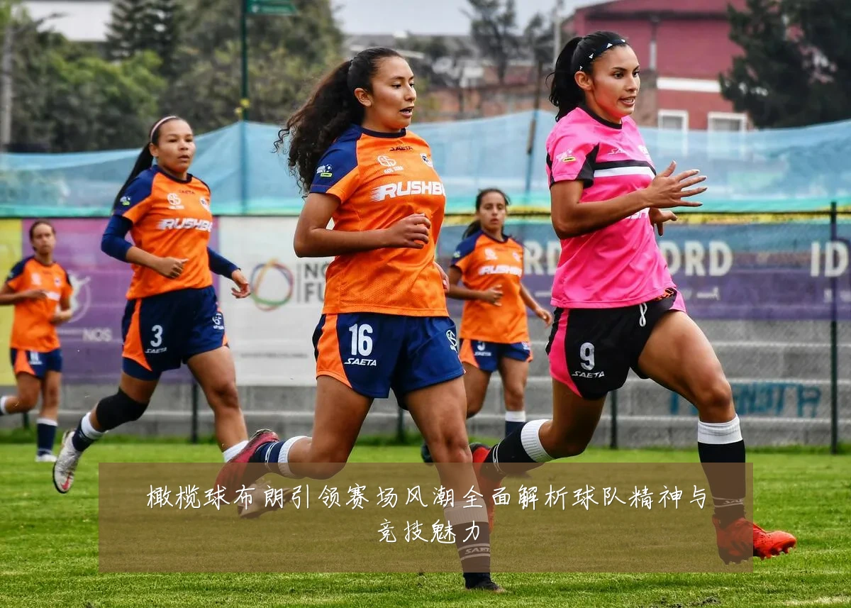 橄榄球布朗引领赛场风潮全面解析球队精神与竞技魅力
